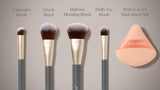 Pro Series Essentials Brush Set